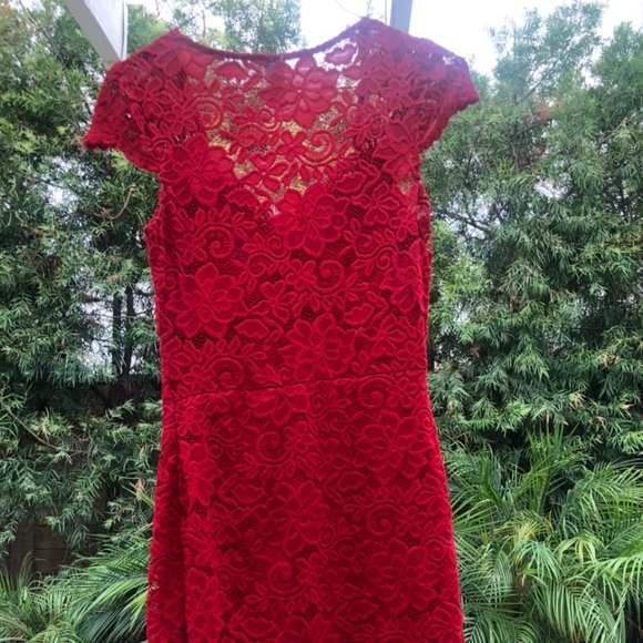 Red Lace Bodycon dress - Picture 3 of 6